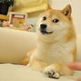 狗狗币暴跌(狗狗币暴跌是哪一年)