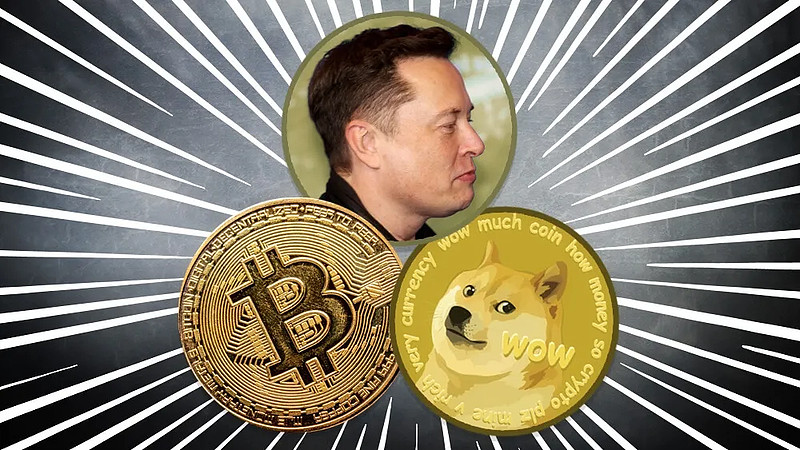 江恩狗狗币微博(狗狗币今日价格表)