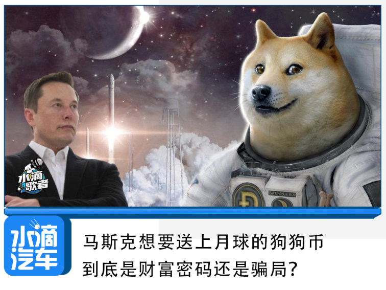 狗狗币交易网(狗狗币交易系统)