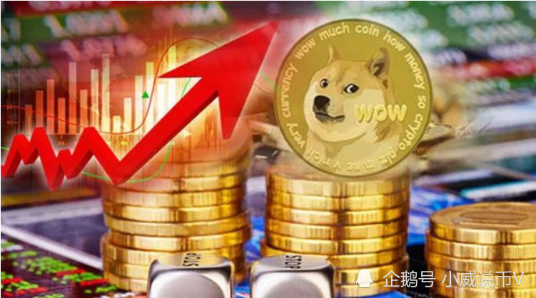 狗狗币最新新闻(狗狗币的最新新闻)