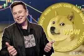 2019年狗狗币(2019年狗狗币价格走势图)