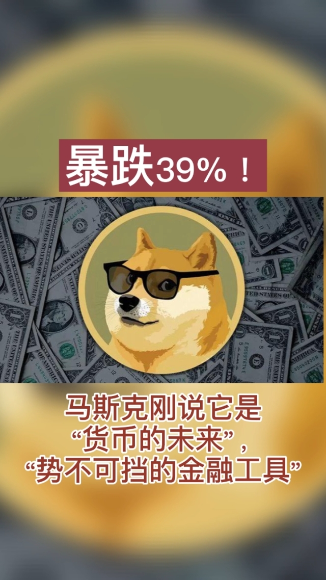 狗狗币的未来(狗狗币的未来怎么样)