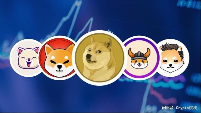 狗狗币还能涨吗(狗狗币还会继续跌吗)
