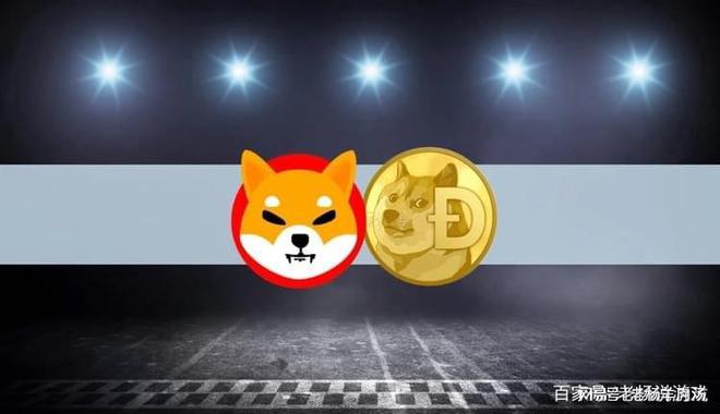 比特股和狗狗币谁好点(比特币和狗狗币有什么不同)