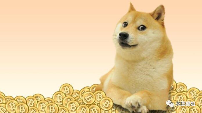 狗狗币多少合适(狗狗币多少可以入手)