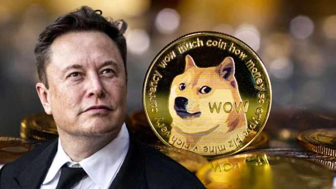 正宇狗狗币(正宇后面给的狗狗币真的)