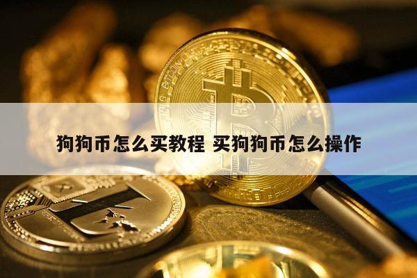狗狗币咋买(狗狗币怎么样买)