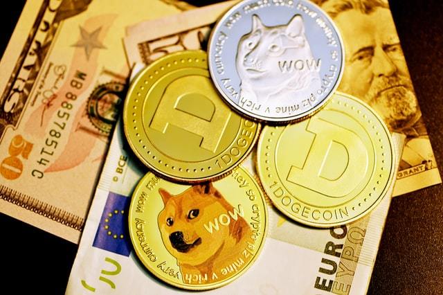 2019年狗狗币(2019年狗狗币最低)