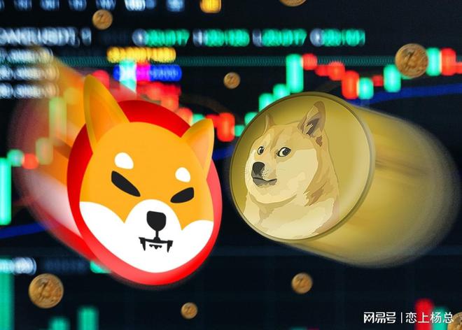 狗狗币最近下滑(狗狗币怎么跌价了)