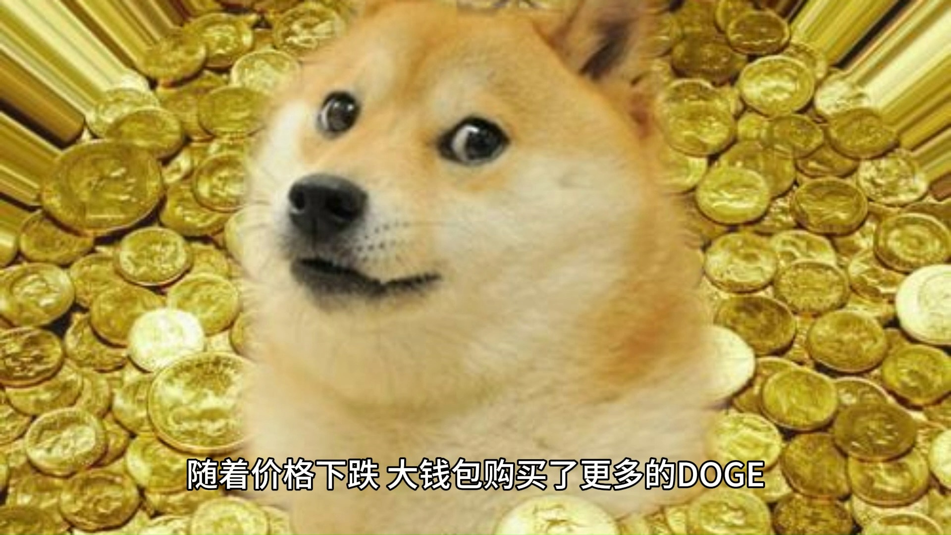 狗狗币钱包一直接收不到(狗狗币钱包不能同步怎么办)