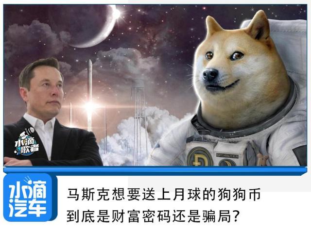马斯克称从不会出售狗狗币(马斯克称从不会出售狗狗币吗)