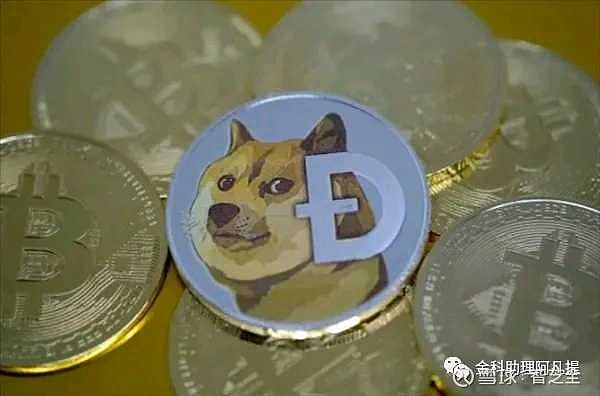 狗狗币代码(狗狗币英文代码缩写)
