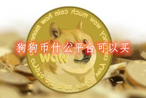 狗狗币在哪个平台买(狗狗币在哪个app买)