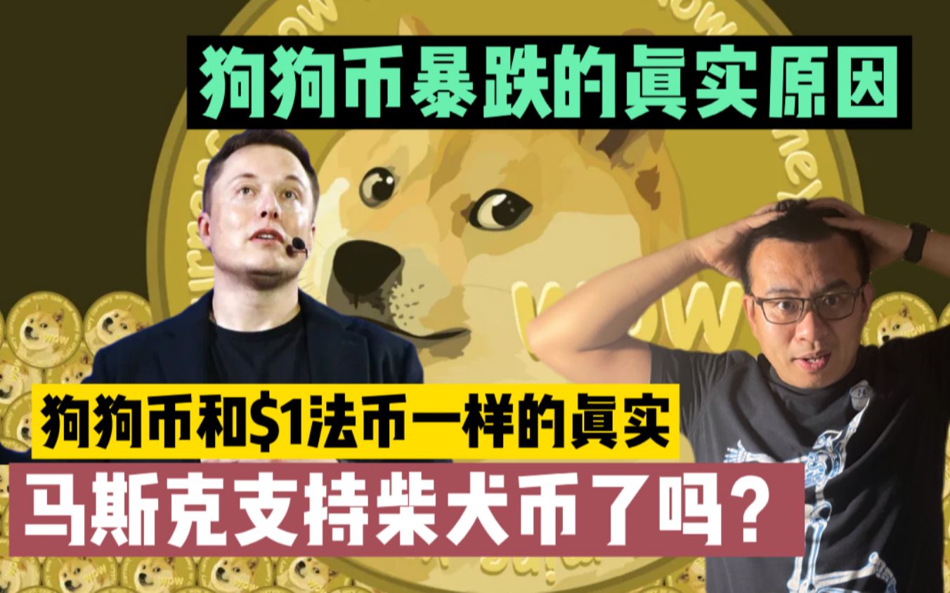狗狗币大跌(狗狗币跌破02)