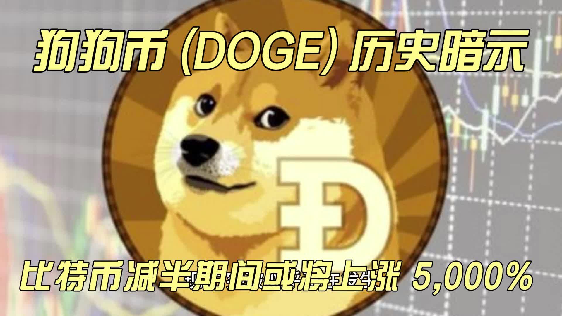 狗狗币币(狗狗币币最新消息)