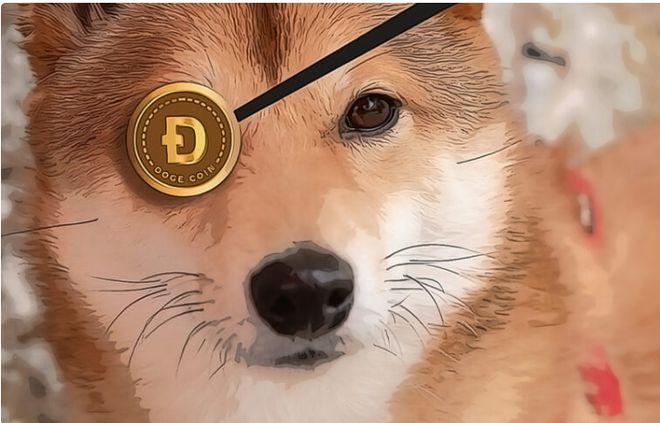 狗狗币doge(狗狗币一夜暴涨700倍)