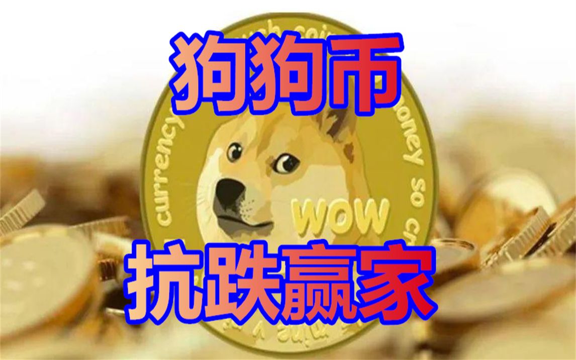 关于狗狗币为什么跌那么大的信息