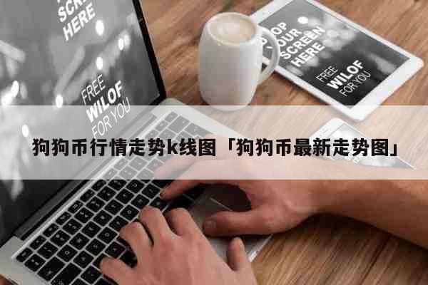 如何买狗狗币(如何买狗狗币教程视频)