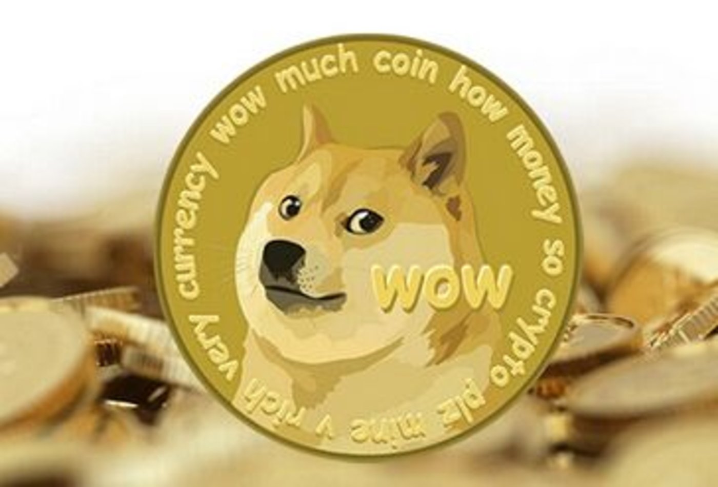 狗狗币网站(狗狗币网站登录最简单方法)