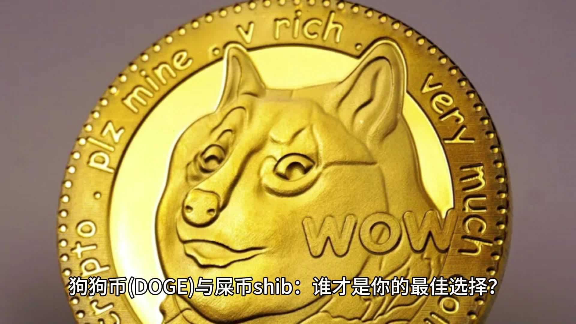 狗狗币最佳(狗狗币最低价格是多少人民币)