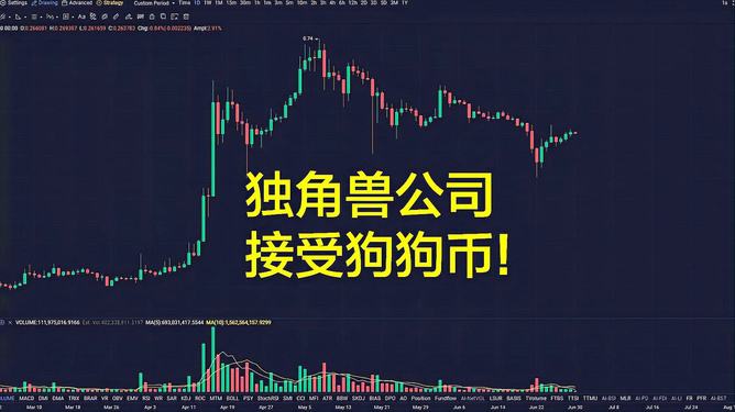 怎样购买狗狗币(怎样购买狗狗币最划算)