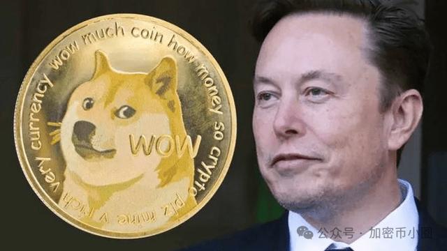 狗狗币从发行涨了多少(狗狗币从发行涨了多少倍)