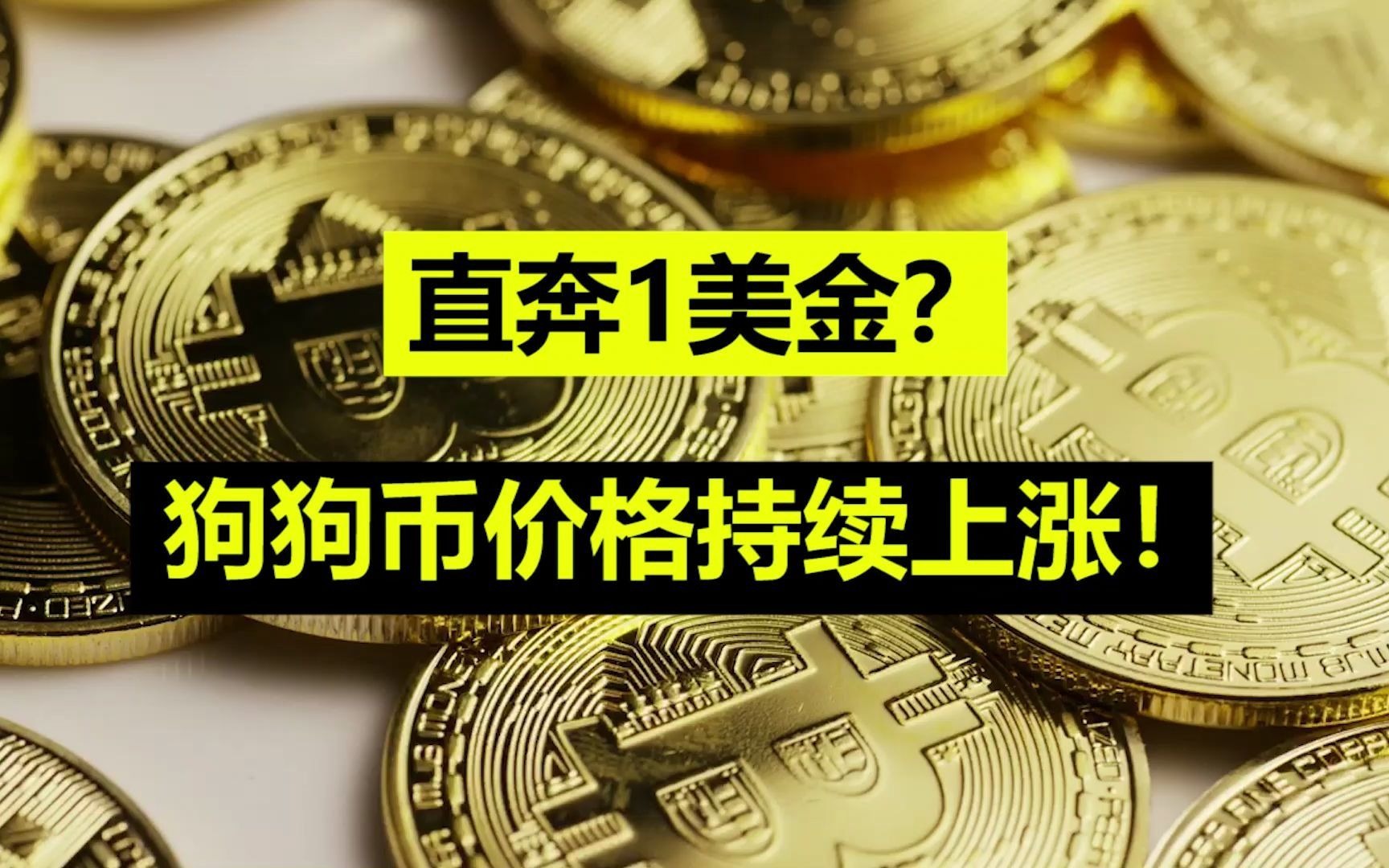 狗狗币提取(狗狗币提现是什么意思)
