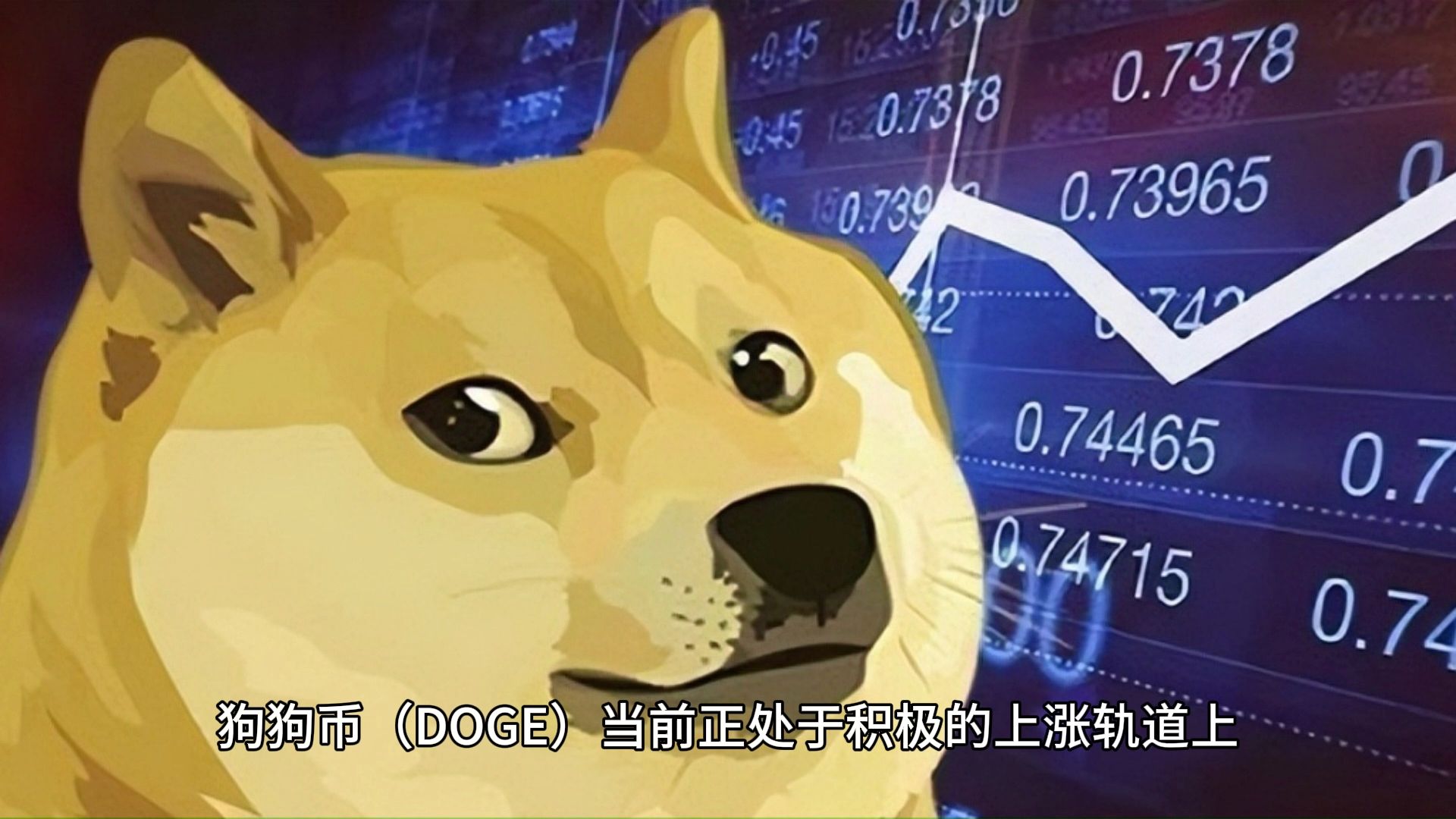 狗狗币历年价格(狗狗币2019年价格)