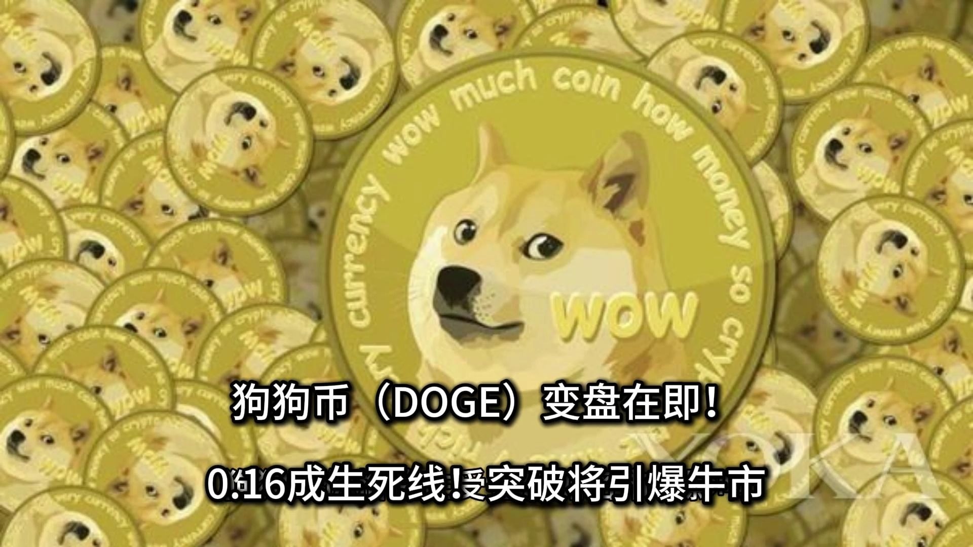 狗狗币在哪买(狗狗币在哪里够买)
