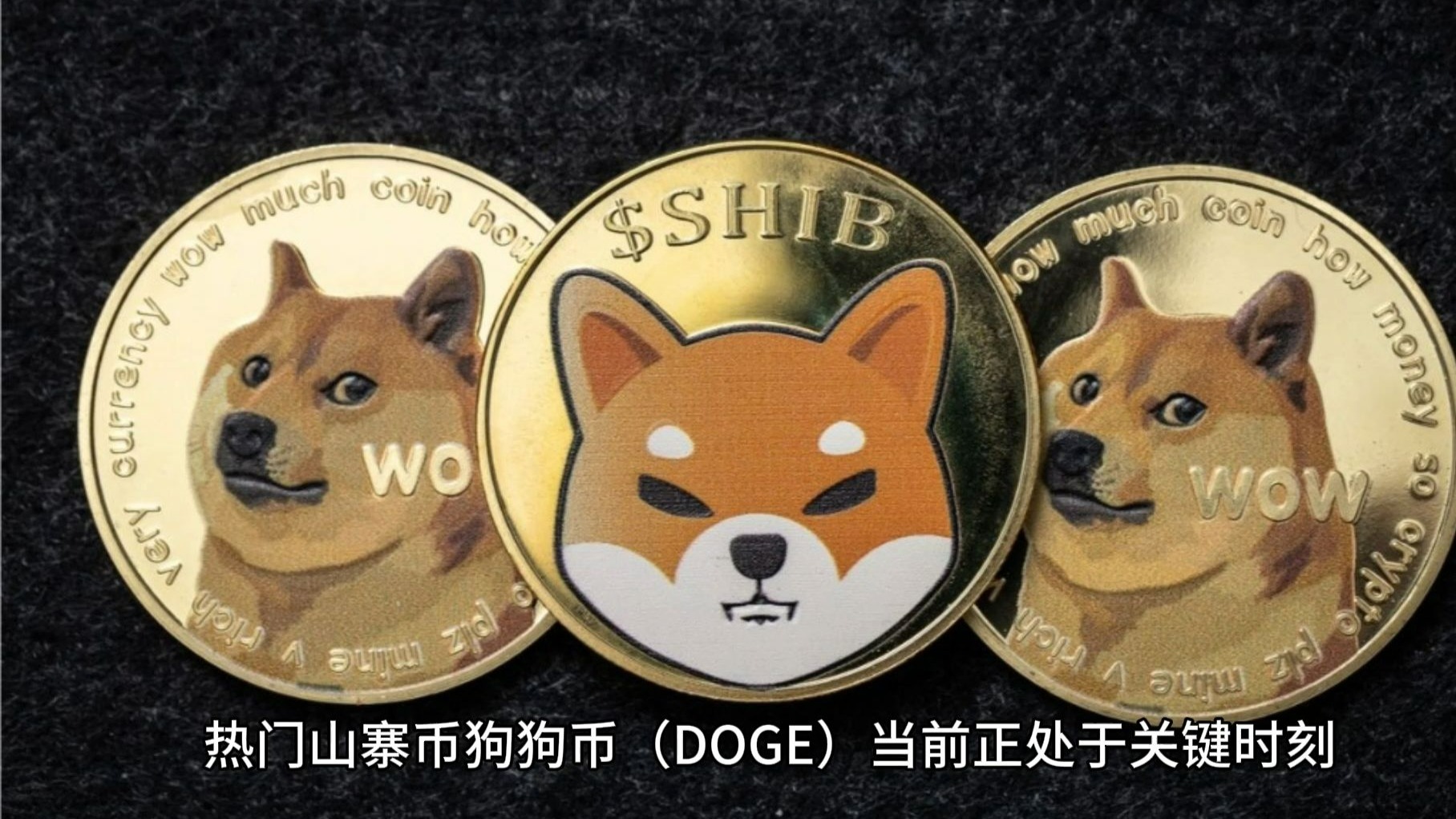 狗狗币最低价格(狗狗币最低价格和最高价格)