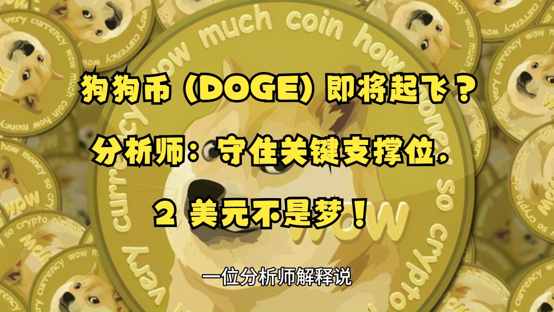 狗狗币历史最高价(2025狗狗币能涨到多少)