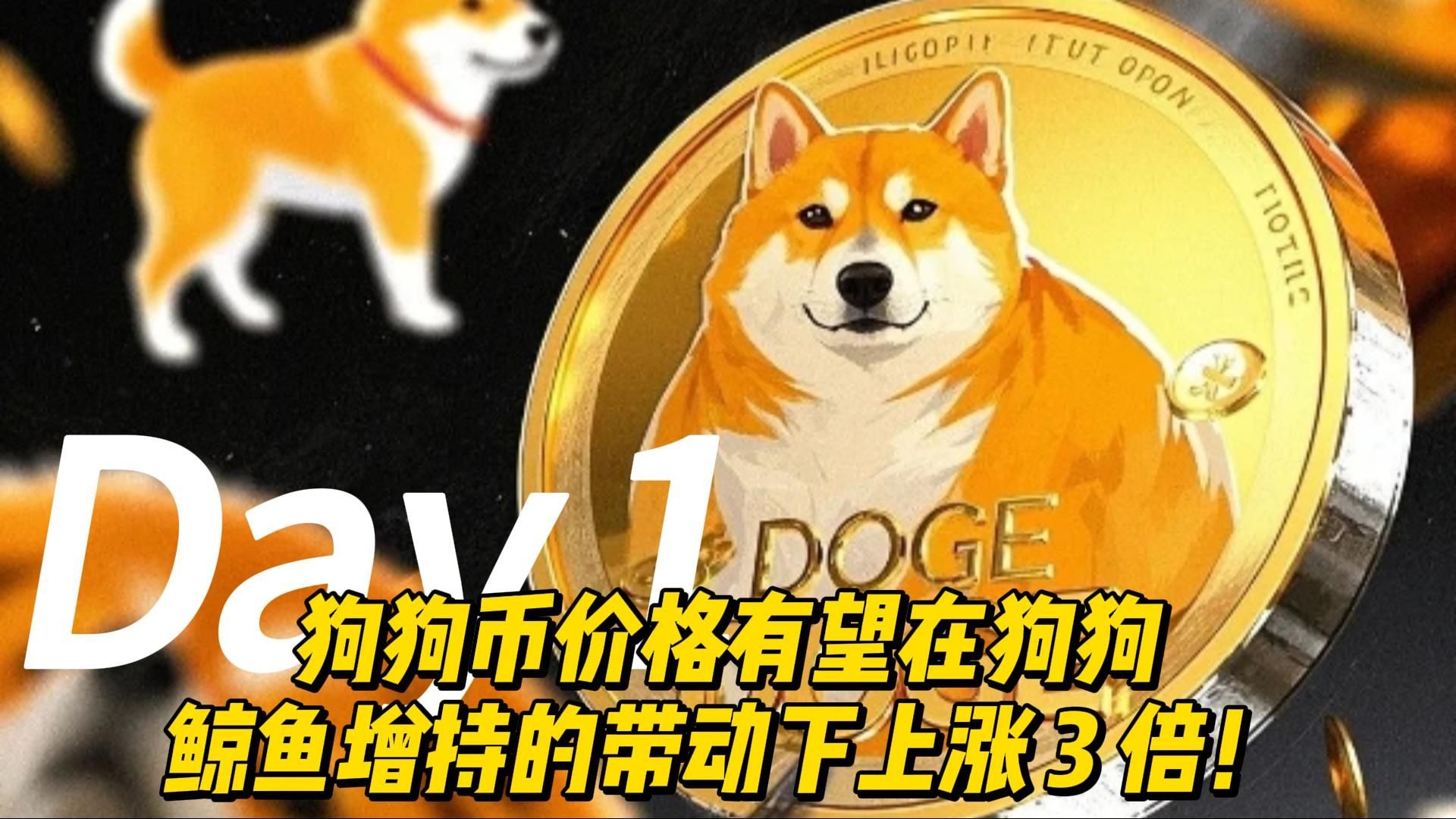 狗狗币五年后能涨多少(五年后狗狗币能涨到2美金吗)